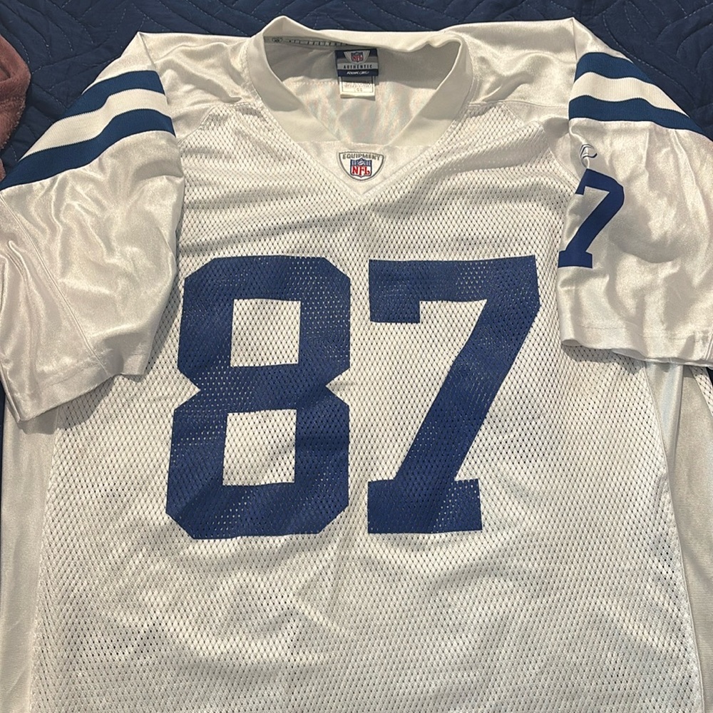 NFL Colts jersey
Wayne #87